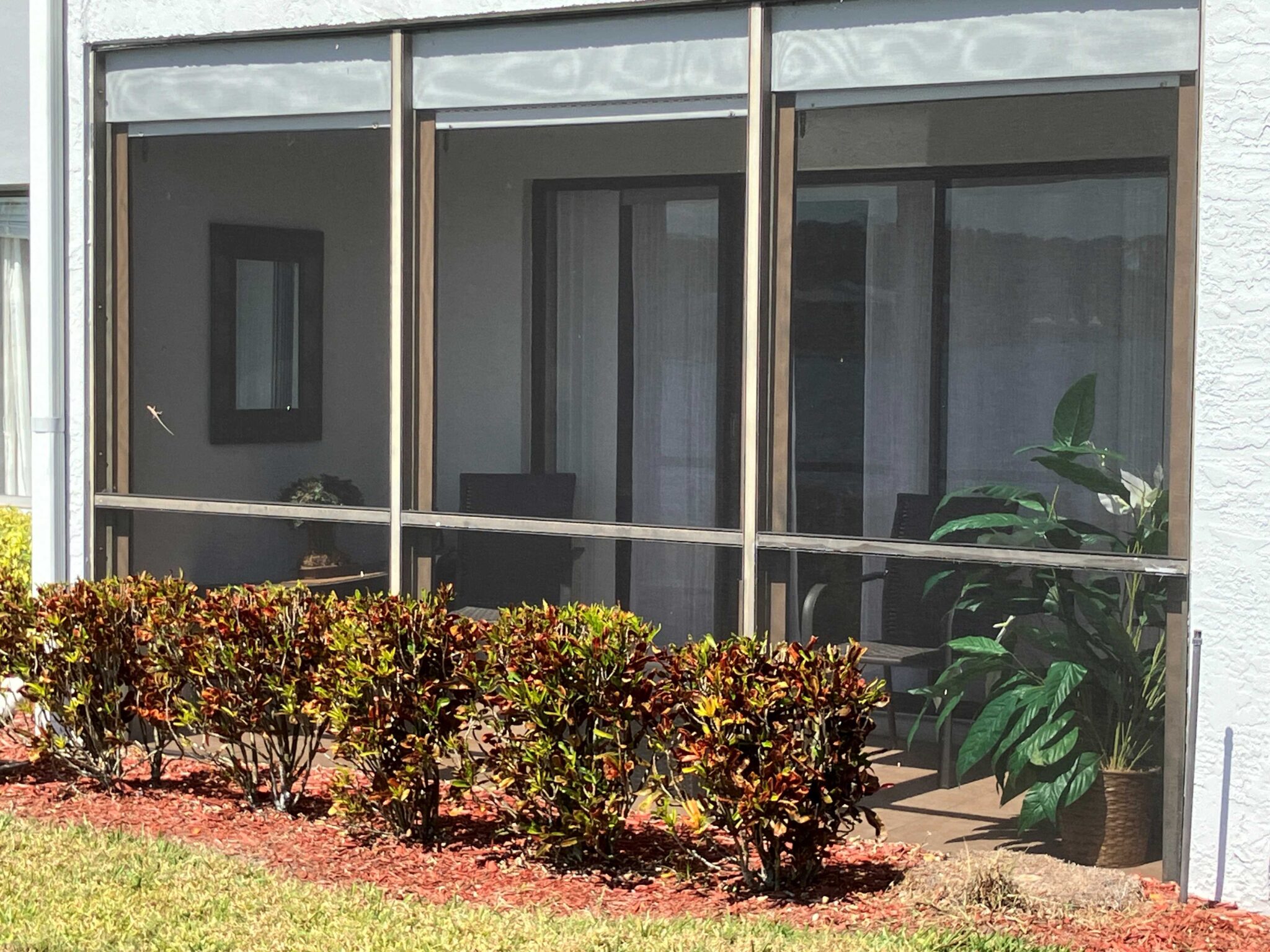 Condos for Sale Pine Ridge Condominium