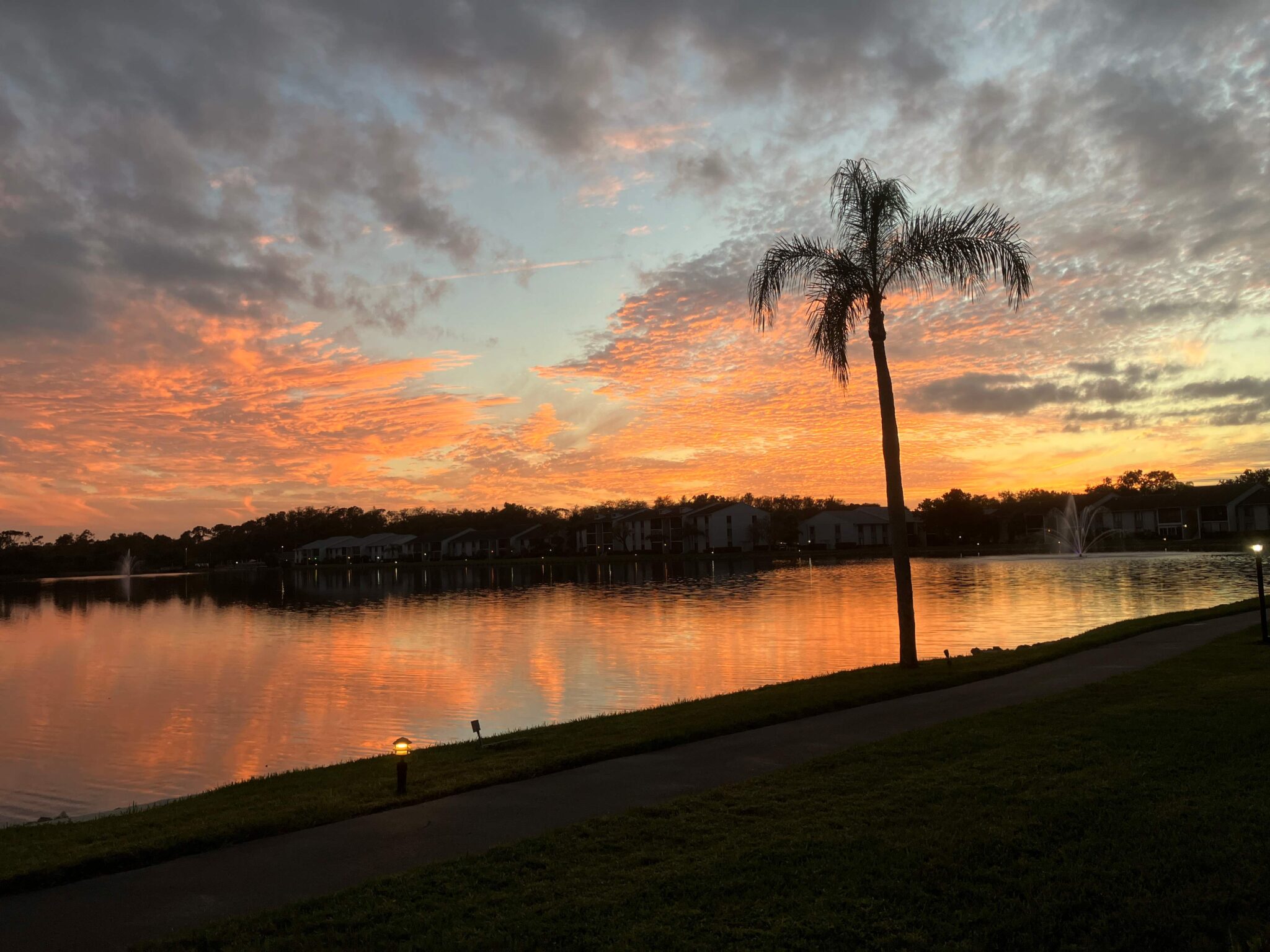 Condos for Sale Pine Ridge Condominium