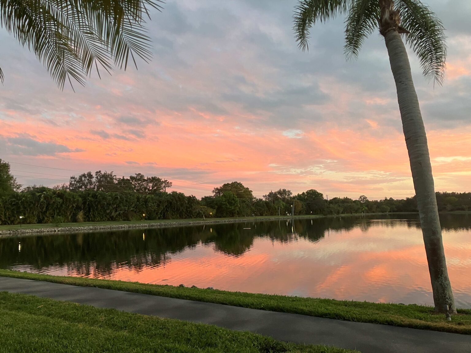 Condos for Sale Pine Ridge Condominium